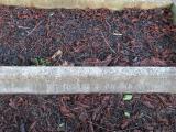 image of grave number 370733